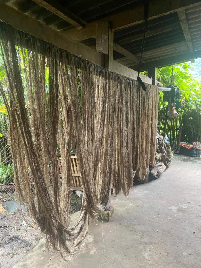 Hoa'S Homestay Sapa エクステリア 写真