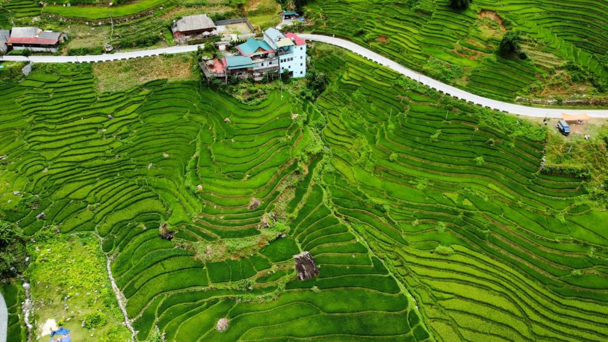Hoa'S Homestay Sapa エクステリア 写真