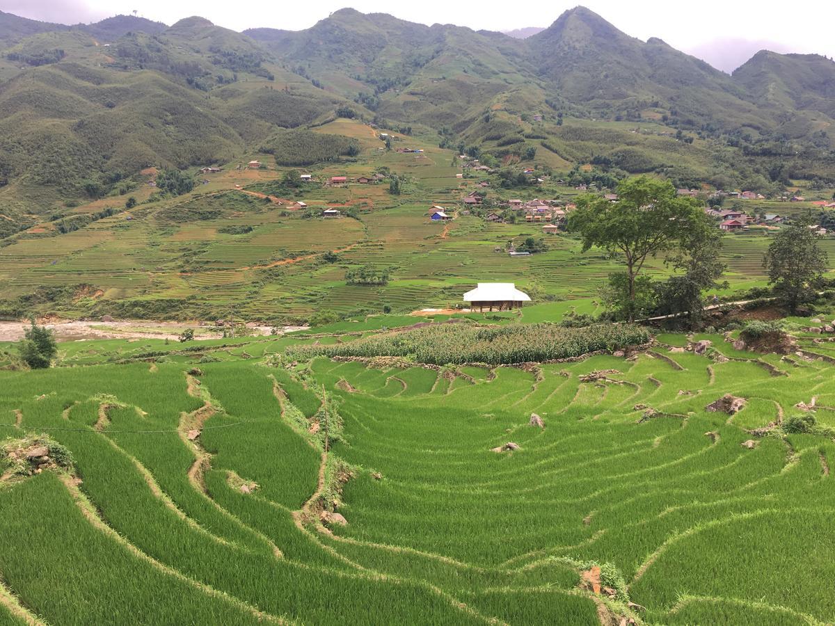 Hoa'S Homestay Sapa エクステリア 写真